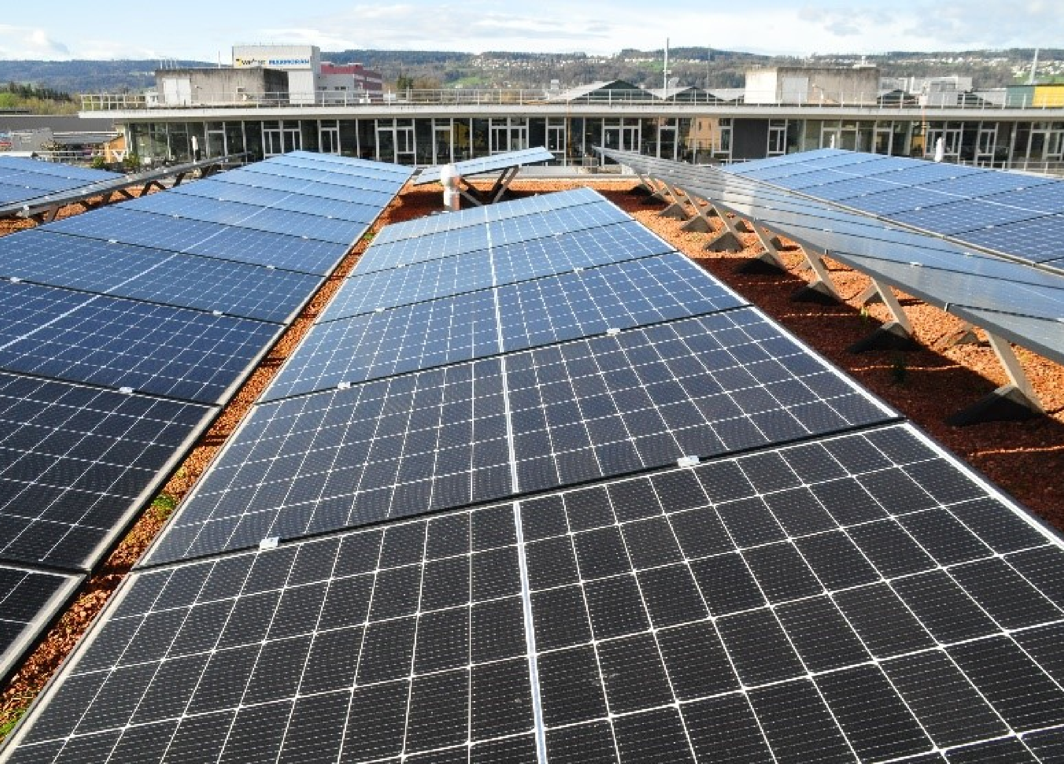 Zeichenfläche – 3