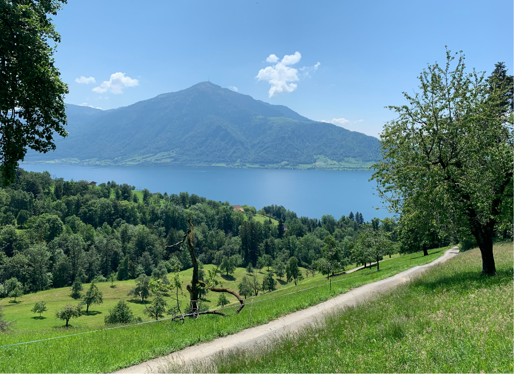 pv anlage kanton zug walchwil cham baar schweiz walchwil steinhausen wallbox batteriespeicher solaranlage kaufen 3