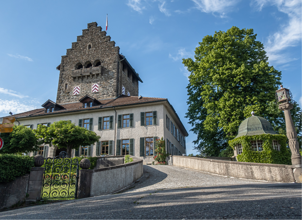 pv anlage zuercher oberland uster wetzikon